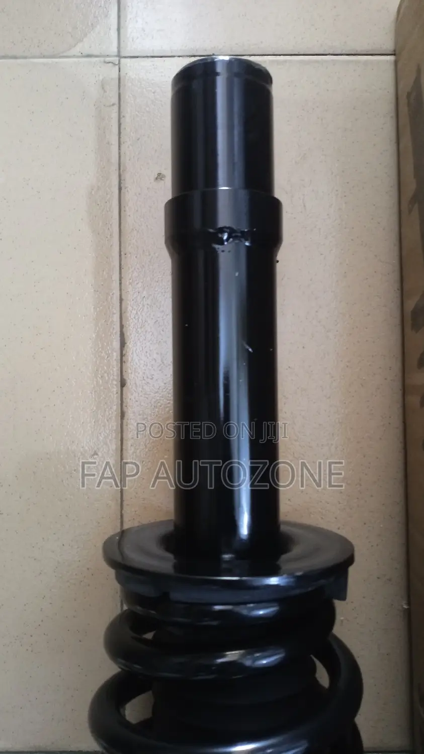 01596. Original Chrysler Complete Sturt Spring From USA