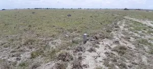 Multi Purpose Land for Sale