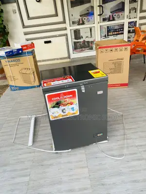 Latest and Affordable Zara 200 Single Door Electric Freezer.