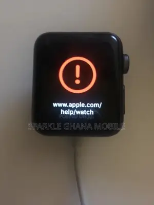Apple Watch Flashing And Unlocking