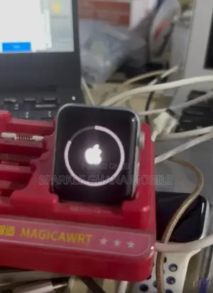 Apple Watch Flashing And Unlocking
