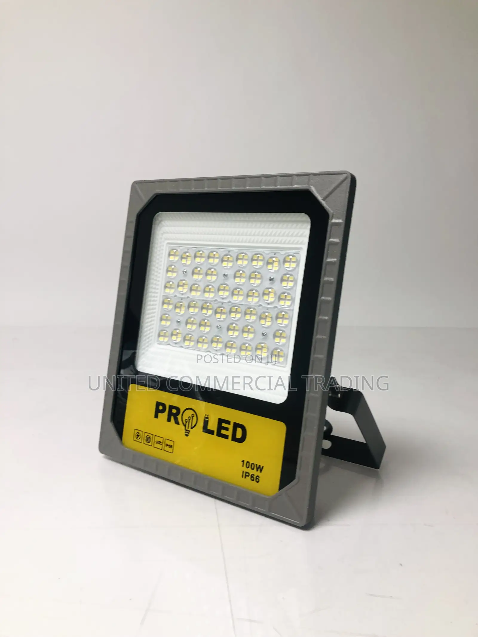 Flood Light (100W)