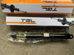Hyundai Elantra 2008 Back Shocks