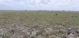 Land Prices You Can Afford (Litigation Free Lands)