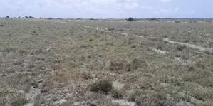 Greener and Vast Lands at Your Doorstop