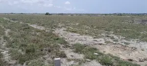 Alpha Residence Plots Available (NEST COTTAGE)