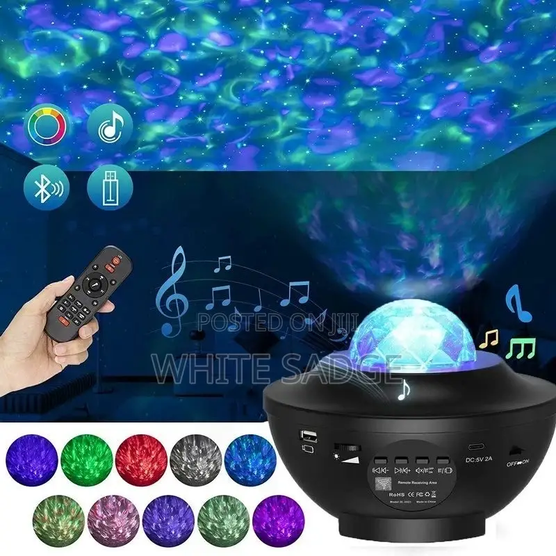 Projector and Leaser With Bluetooth