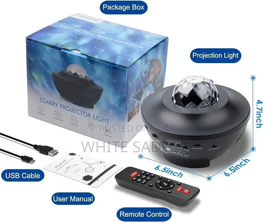 Projector and Leaser With Bluetooth
