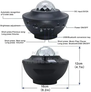Projector and Leaser With Bluetooth