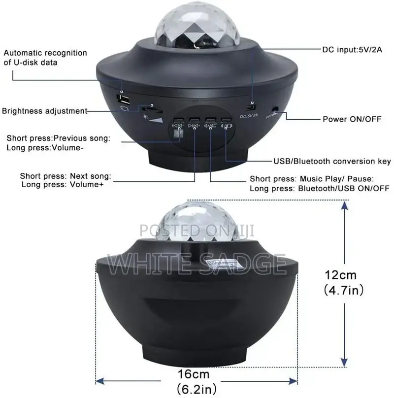Projector and Leaser With Bluetooth
