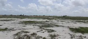 Greener and Vast Land Up for Sale.