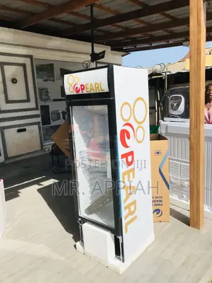 Extremely Cooling Pearl PVC 316-2b 1 Door Beverage Cooler.