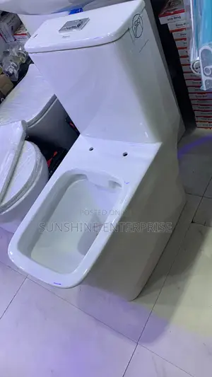 Frencia Combined Water Closet