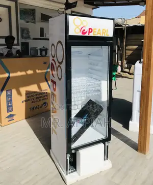 Pearl Single Door Beverage Cooler(Pvc 316).