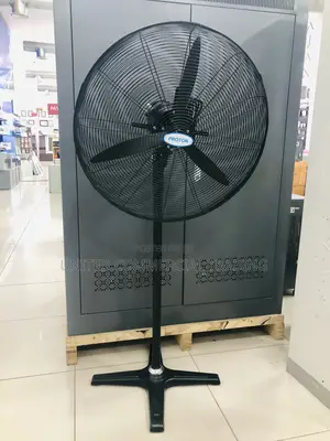 Standing Fan