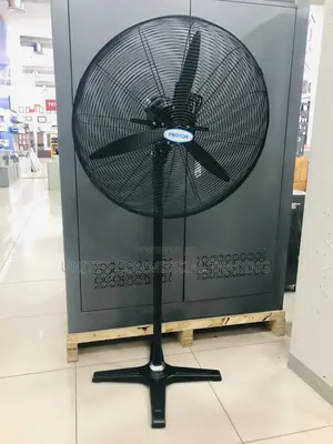 Standing Fan