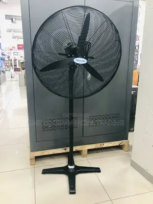 Standing Fan