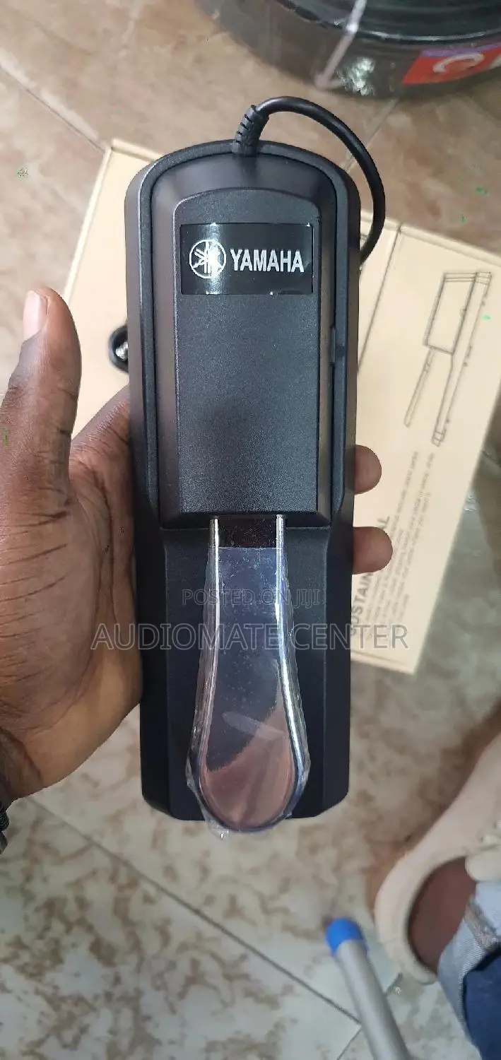 Sustain Pedal