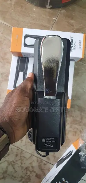 Sustain Pedal