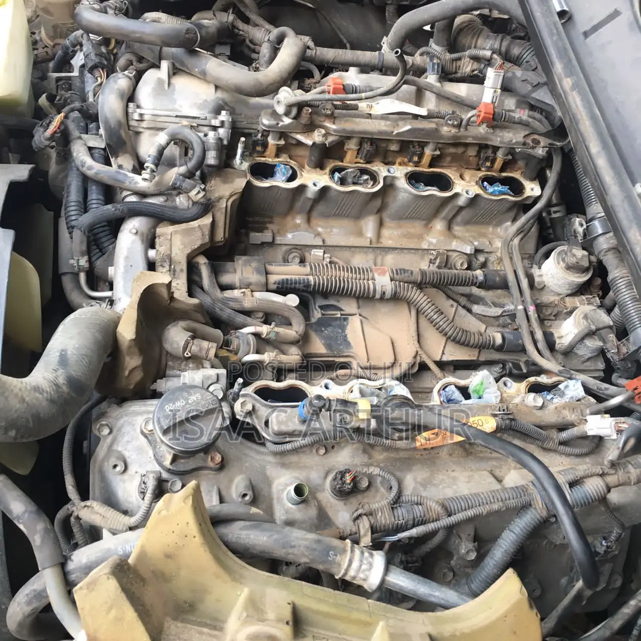 Car Auto Electrical Specialist