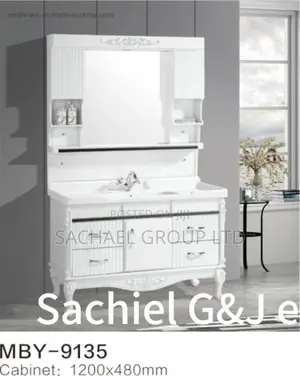 Standing Washroom Cabinets Mirror 80cm