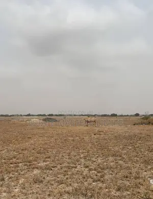 Free Package on Land Purchase at Potsin