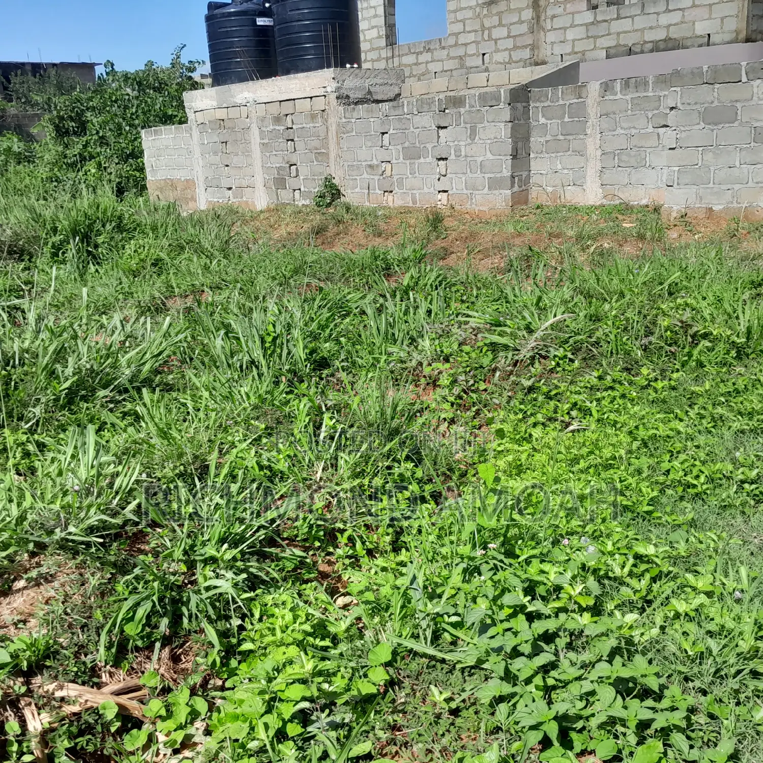 Half Plot for Sale at Ntankoful