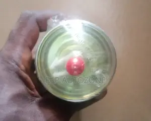 0891. Original Ford, Jaguar, Lincoln Fuel Filter From Usa