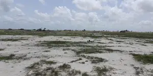 Land Up for Sale, Land Up for Sale!