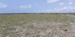 Land Up for Sale, Land Up for Sale!