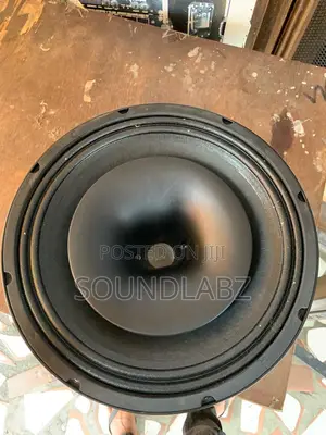 12inches 1000watt JAC Naked Speaker With Tutor