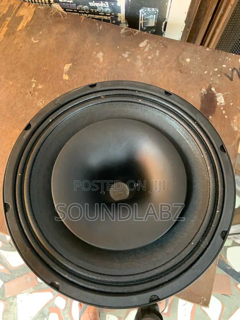 12inches 1000watt JAC Naked Speaker With Tutor