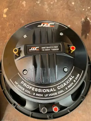 12inches 1000watt JAC Naked Speaker With Tutor