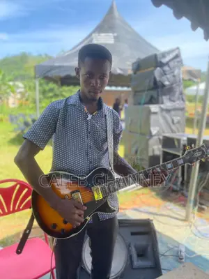 Professional Guitarist