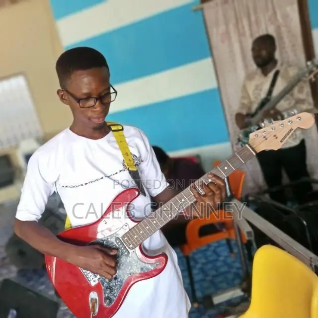 Professional Guitarist