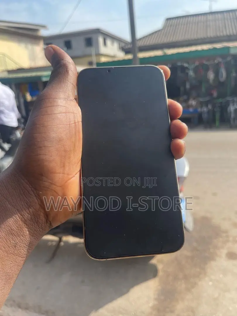 Apple iPhone 13 Pro Max 256 GB Rose Gold