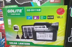Solar and Electric Chargeable Device