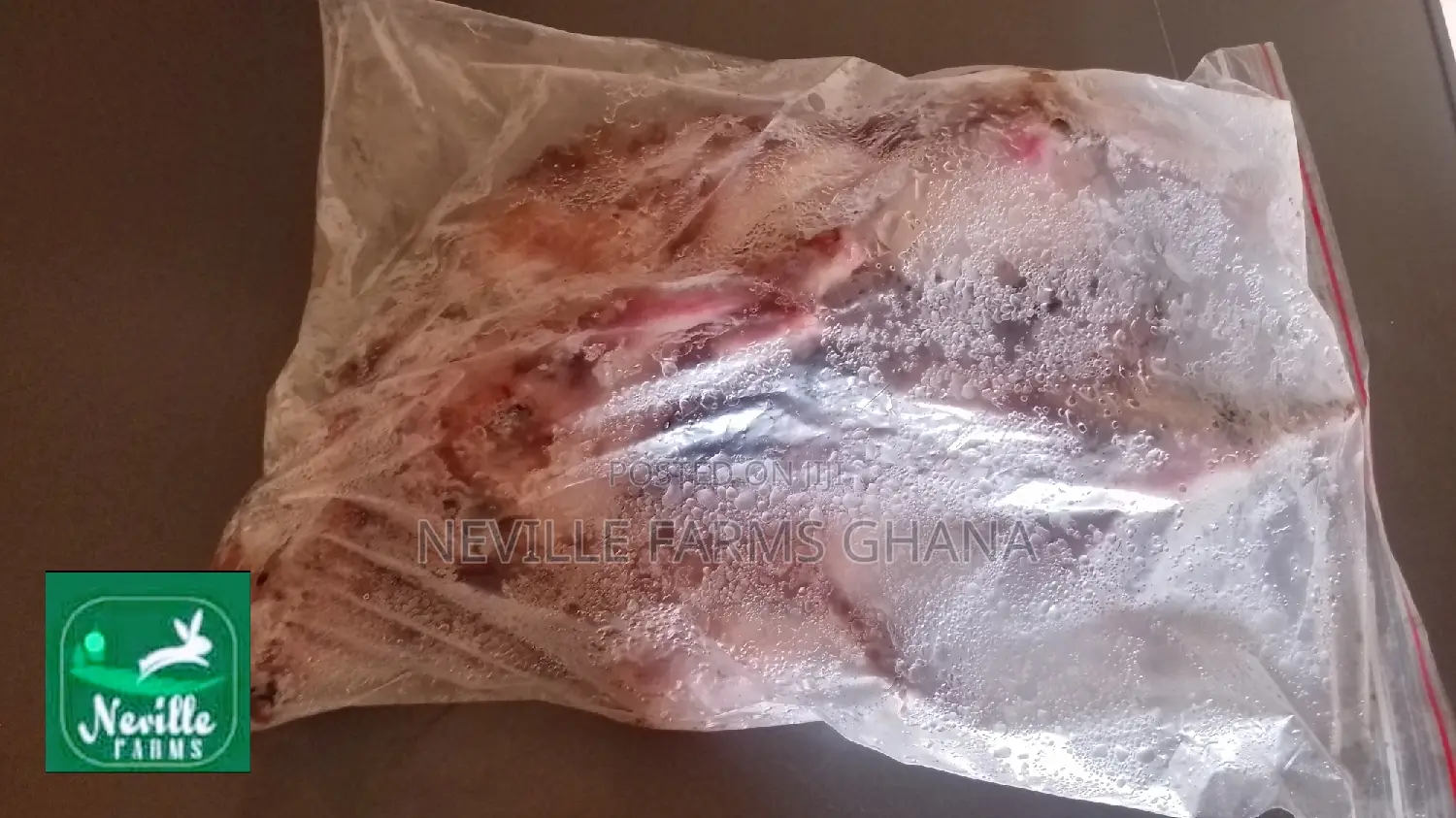 Dressed Rabbit Meat Just for You!