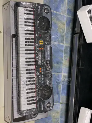 Large Electronic Organ Entry Level 61-Keys Piano Keyboard