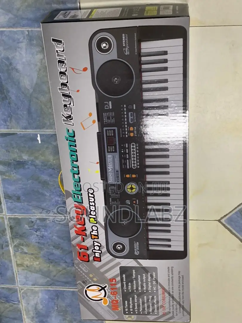 Large Electronic Organ Entry Level 61-Keys Piano Keyboard