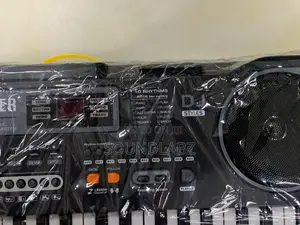 Large Electronic Organ Entry Level 61-Keys Piano Keyboard