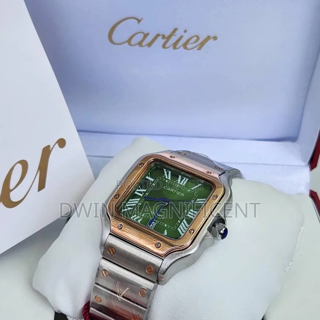 Santos De Cartier Watches