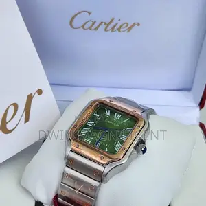 Santos De Cartier Watches