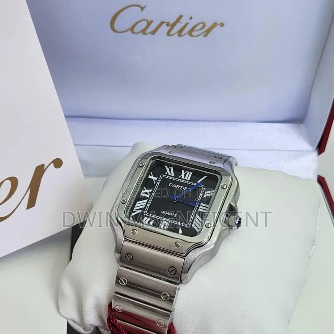 Santos De Cartier Watches