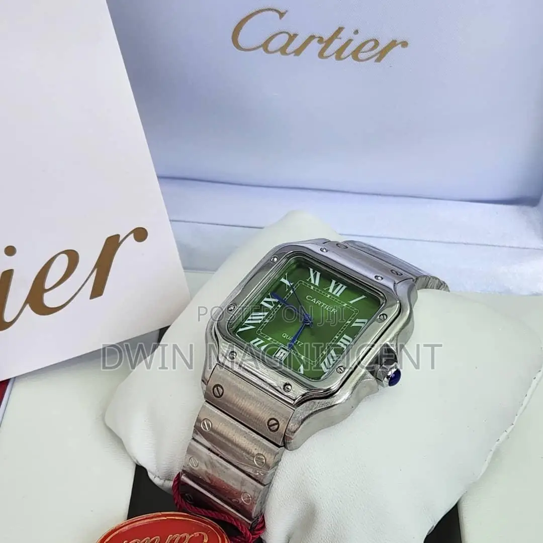 Santos De Cartier Watches