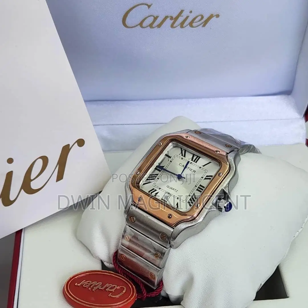 Santos De Cartier Watches