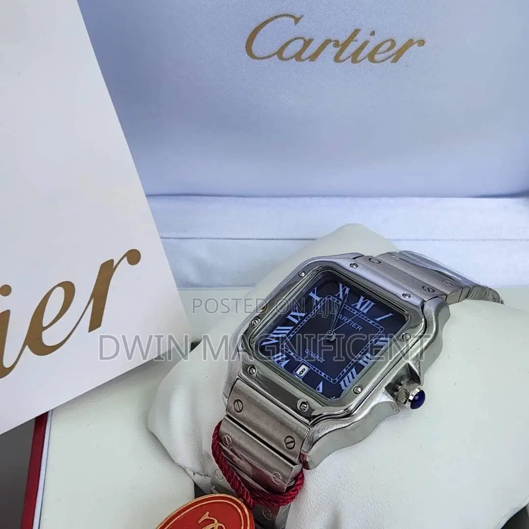 Santos De Cartier Watches