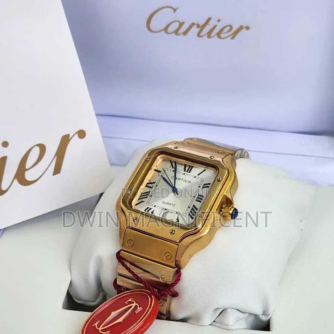 Santos De Cartier Watches