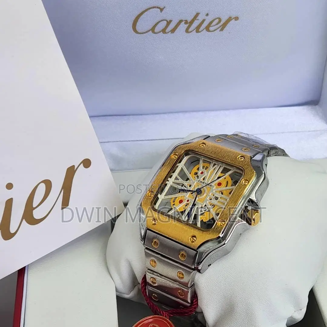 Santos De Cartier Watches