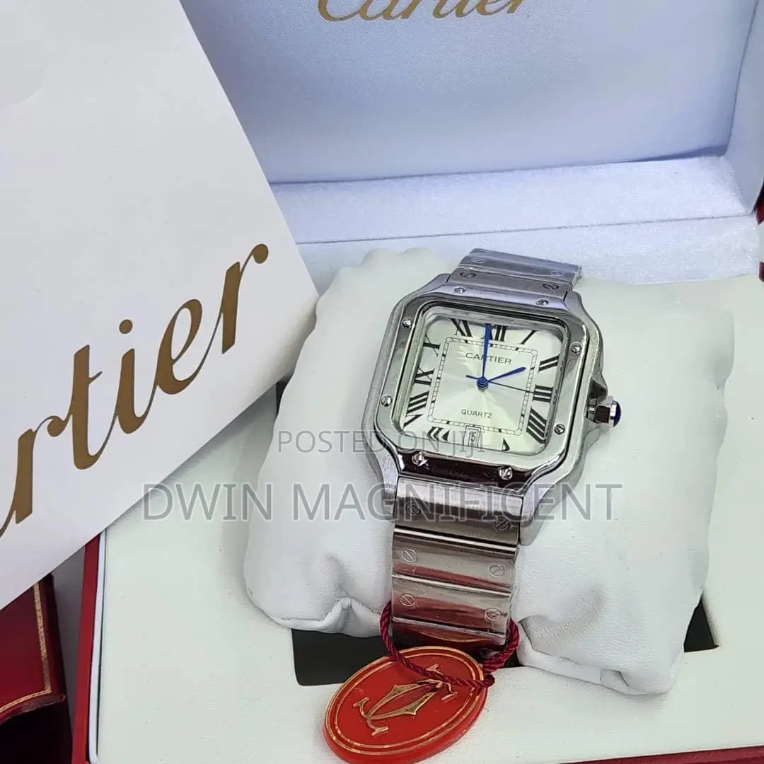 Santos De Cartier Watches